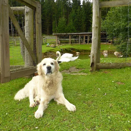 Homestay Romantik Im Sudlichen Waldviertel *